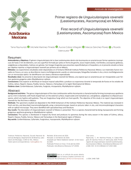 Primer Registro De Unguiculariopsis Ravenelii (Leotiomycetes, Ascomycota) En México