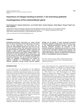 Importance of Nidogen Binding to Laminin Γ1 for Branching Epithelial Morphogenesis of the Submandibular Gland