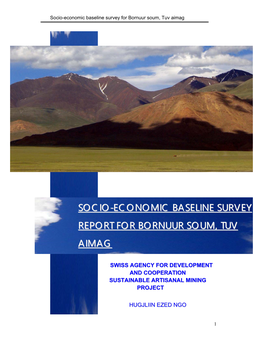 Socio-Economic Baseline Survey Report For