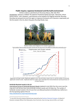 Public Inquiry: Japanese Knotweed and the Built Environment