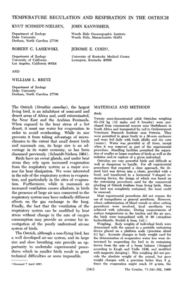 Temperature Regulation and Respiration in the Ostrich