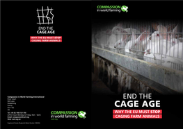 End the Cage Age: Why the EU Must Stop Caging Farm Animals