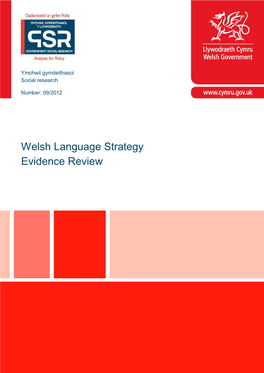 Welsh Language Strategy Evidence Review , File Type