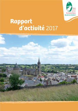 Rapport D'activité 2017