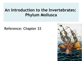An Introduction to the Invertebrates: Phylum Mollusca