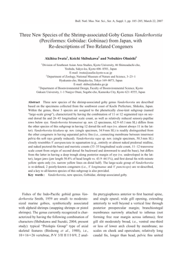 Three New Species of the Shrimp-Associated Goby Genus Vanderhorstia (Perciformes: Gobiidae: Gobiinae) from Japan, with Re-Descriptions of Two Related Congeners