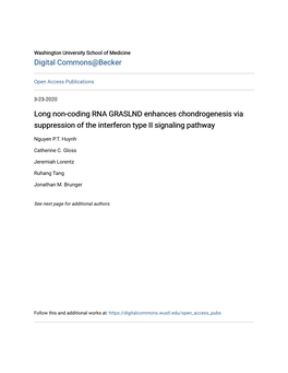 Long Non-Coding RNA GRASLND Enhances Chondrogenesis Via Suppression of the Interferon Type II Signaling Pathway