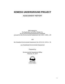 Kemess Underground Project