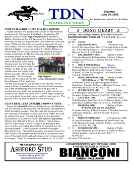 P Irish Derby