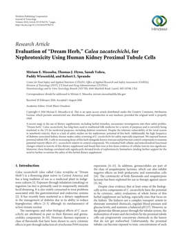 Evaluation of “Dream Herb,” Calea Zacatechichi, for Nephrotoxicity