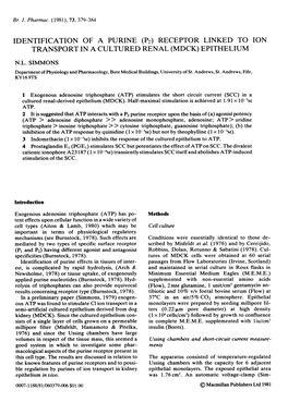 (P2) Receptor Linked to Ion Transport in a Cultured Renal (Mdck) Epithelium