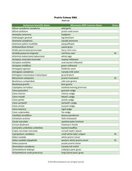 Herbarium Scientific Name Minnesota DNR Common Name Status Allium Canadense Canadense Wild Garlic Allium Stellatum Prairie Wild