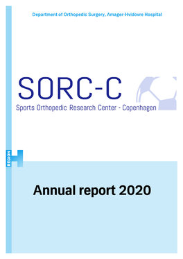 Annual Report 2020