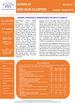 Somalia Gbv Sub-Cluster