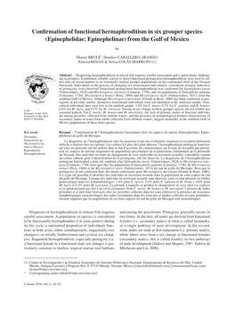 Confirmation of Functional Hermaphroditism in Six Grouper Species (Epinephelidae: Epinephelinae) from the Gulf of Mexico
