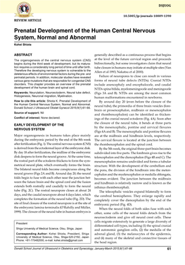 Prenatal Development of the Human Central Nervous System, Normal and Abnormal Kohei Shiota