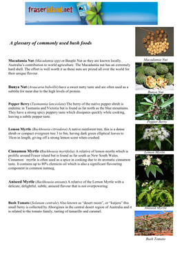 A Glossary of Commonly Used Bush Foods