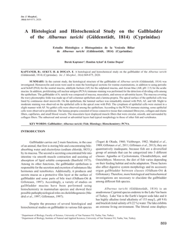 A Histological and Histochemical Study on the Gallbladder of the Alburnus Tarichi (Güldenstädt, 1814) (Cyprinidae)