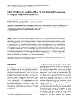 Effect of Rodents on Seed Fate of Five Hornbill-Dispersed Tree Species in A