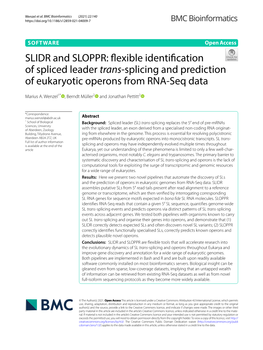 SLIDR and SLOPPR: Flexible Identification of Spliced Leader