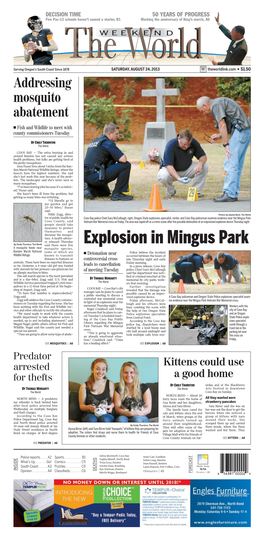 Explosion in Mingus Park