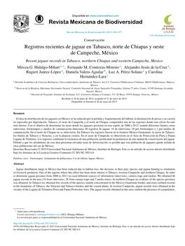 Registros Recientes De Jaguar En Tabasco, Norte De Chiapas Y Oeste