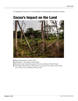 Cocoa's Impact on the Land