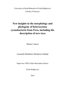 New Insights in the Morphology and Phylogeny of Heterocytous Cyanobacteria from Peru, Including the Description of New Taxa