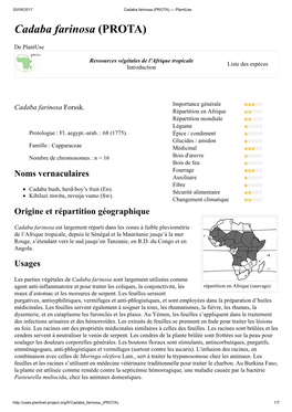 Cadaba Farinosa (PROTA) — Plantuse Cadaba Farinosa (PROTA)