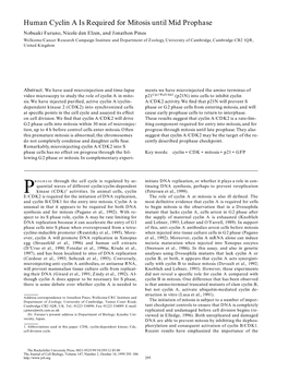 Human Cyclin a Is Required for Mitosis Until Mid Prophase