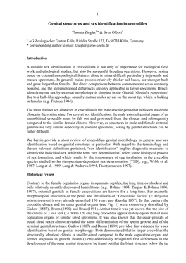 Genital Structures and Sex Identification in Crocodiles