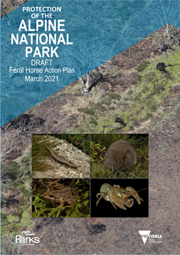 ALPINE NATIONAL PARK DRAFT Feral Horse Action Plan March 2021