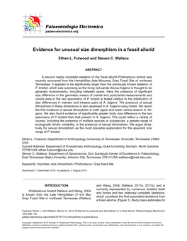 Evidence for Unusual Size Dimorphism in a Fossil Ailurid