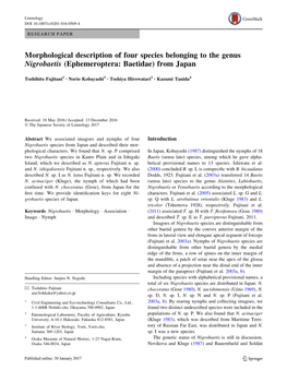 Morphological Description of Four Species Belonging to the Genus Nigrobaetis (Ephemeroptera: Baetidae) from Japan