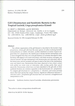 Gill Ultrastructure and Symbiotic Bacteria in the Tropical Lucinid, Linga Pensylvanica (Linne)