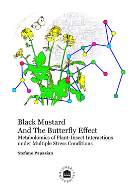 Black Mustard and the Butterfly Effect Metabolomics of Plant-Insect Interactions Under Multiple Stress Conditions