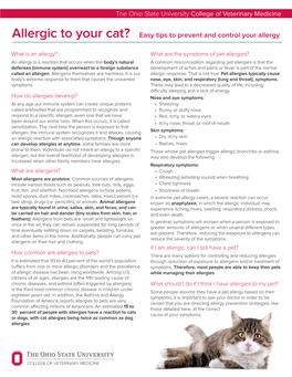 Allergic to Your Cat? Easy Tips to Prevent and Control Your Allergy