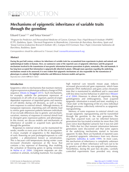 Mechanisms of Epigenetic Inheritance of Variable Traits Through the Germline