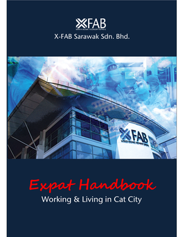 Expat Handbook Working & Living in Cat City