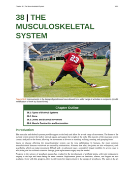 38 | the Musculoskeletal System 1091 38 | the MUSCULOSKELETAL SYSTEM