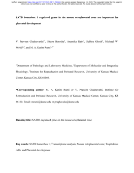 SATB Homeobox 1 Regulated Genes in the Mouse Ectoplacental Cone Are Important For