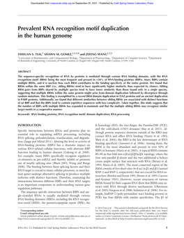 Prevalent RNA Recognition Motif Duplication in the Human Genome