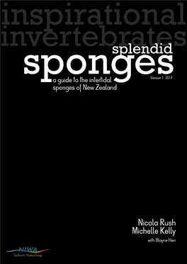 Splendid Sponges (Intertidal)