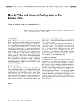 How to Take and Interpret Radiographs of the Equine Stifle