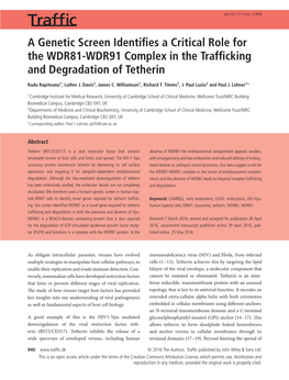 A Genetic Screen Identifies a Critical Role for the WDR81‐WDR91 Complex in the Trafficking and Degradation of Tetherin