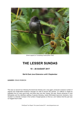 The Lesser Sundas