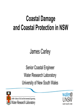 Coastal Damage and Coastal Protection in NSW