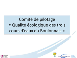 Comité De Pilotage « Qualité Écologique Des Trois