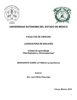 Universidad Autonoma Del Estado De México