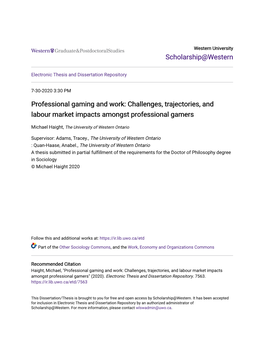 Professional Gaming and Work: Challenges, Trajectories, and Labour Market Impacts Amongst Professional Gamers